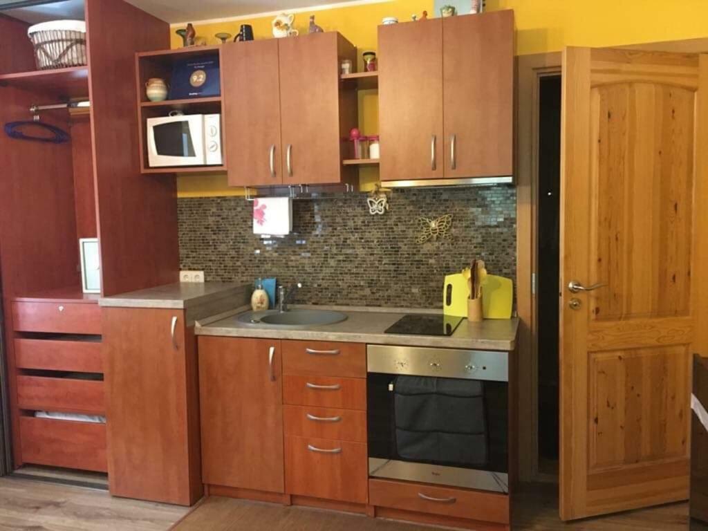 Du Draugai Apartment Druskininkai Ngoại thất bức ảnh